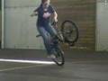 Aude flatland