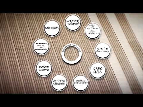 how to measure sustainability
