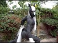YouTube - Stallion Bodypaint (part 2)