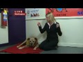 ,,DOG FIGHT NEW ZEALAND,,ederly dog stolen, used as bait in Porirua