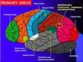 LEARN TO MANUPULATE THE MATRIX LEARN TO MANUPULATE THE MATRIX