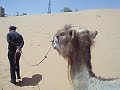 \"Extreme..mely boring \" Camel back riding