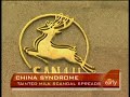China's Tainted Milk Nightmare