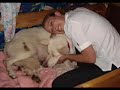 a gorgeous video brought to you by alpinarc white shepherds in australia. ultrasound video photos from the birth and the puppies parents, timed to some very moving music. father is 