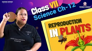 Class VII Science (Biology) Chapter 12: Reproduction in Plants