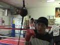 A typical training day at the Manayunk Boxing Club A typical training day at the Manayunk Boxing Club