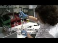 Anti-doping control