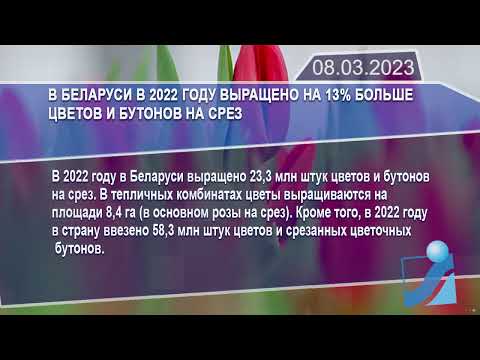 Новостная лента Телеканала Интекс 08.03.23.