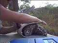me still shooting my smith and wesson 460 xvr me still shooting my smith and wesson 460 xvr