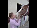 Un pOney en Or...