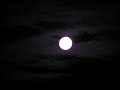 Bezsenni - moje wykonanie