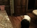 Mouse: 1   Women:  0