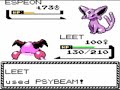 pokemon the real thing