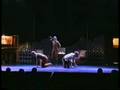 videos de Die Katze