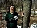 A naturalist from the SUNY College of Environmental Forestry discusses Maple Syrup.
