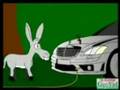 polo polo