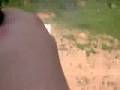 M1911 .45 pistol (First Person)