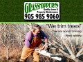 Grasshoppers Lawn Care and Property Maintenance Grasshoppers Lawn Care and Property Maintenance