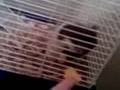 Chico and the cheez-it part 1