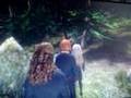 Harry Potter OotP Feeding the Thestrals