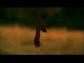 Slipkno t- Vermilion pt.2 Slipkno t- Vermilion pt.2