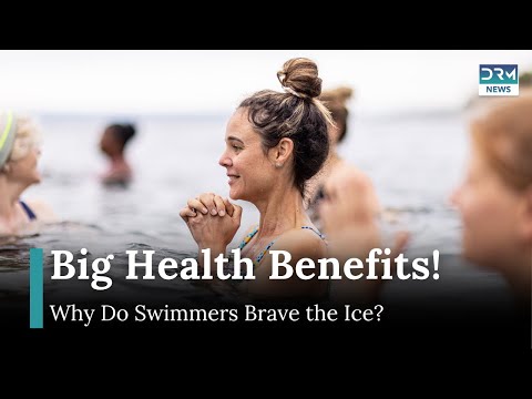 I nuotatori invernali cinesi fanno un tuffo nel ghiaccio per benefici per la salute | AR1G I nuotatori invernali cinesi fanno un tuffo nel ghiaccio per benefici per la salute | AR1G