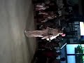 geisha catwalk #3
