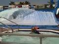 wave house 3