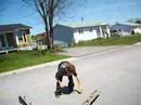 La Compet De Skate La Compet De Skate