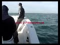 tampa clearwater saint Pete Johns pass grouper fishing Charter deep sea www.gofishtampa.com