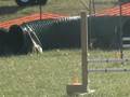 Gracie Rasing K9 Nadac Trail