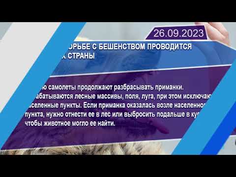 Новостная лента Телеканала Интекс 26.09.23.