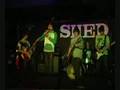 Dani California (cover) - Locus Standi