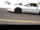 Formula vs Transam (nitrous)