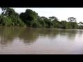 Venezuela Apure River - Los Llanos Safari