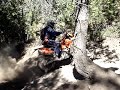 Foresthill Climb Trail 5 - Randy