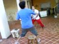 fatiando qualquer coisa III