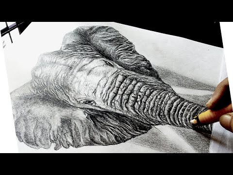 video-linktoworks-How To Draw Realistic Elephant, Realistic Elephant...