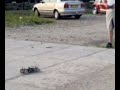 tamiya