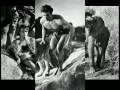  - MovieZen Video