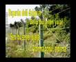 ALDIRMA GÖNÜL