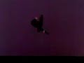 GTA 4 - Boat Fight Glitch