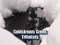 Seepwater Streams Seepwater Streams