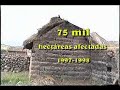 Fen�meno El Ni�o
