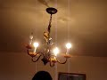 Bird Catchers -Funny Vedio