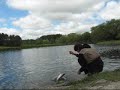 3 Quick Rainbow Trout Flyfishing Adventures