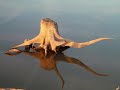 north-carolina-drought.html