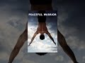 Peaceful Warrior
