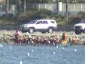 Race - Long Beach 2007 - Maximum  Heat - 500m