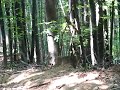 Endurofun-Curtea-De-